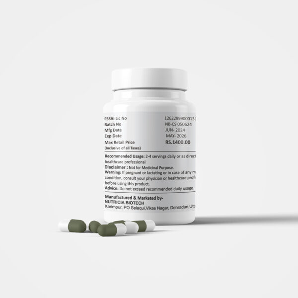 Cissus Complex - Image 3