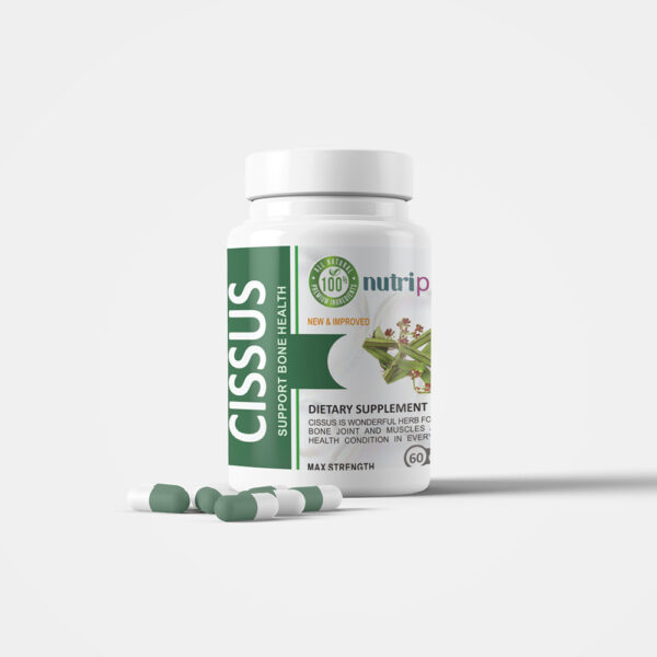 Cissus Quadrangularis