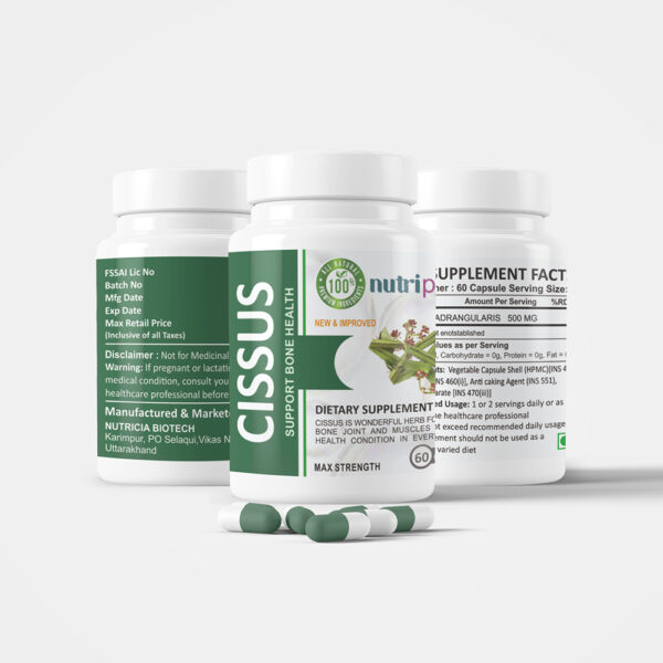 Cissus Quadrangularis - Image 2