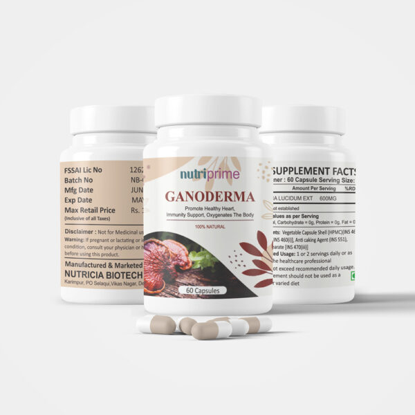 Ganoderma - Image 4