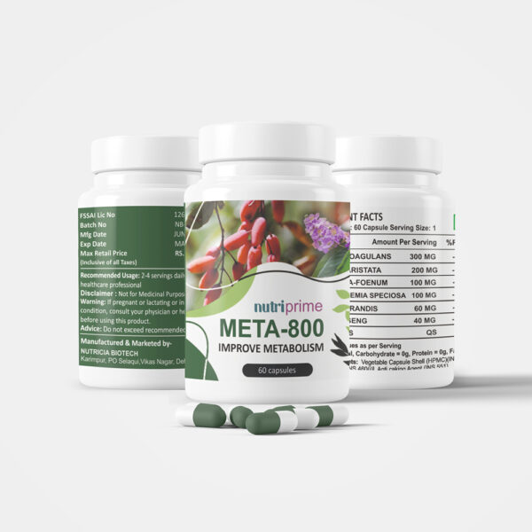 Meta 800 - Image 4