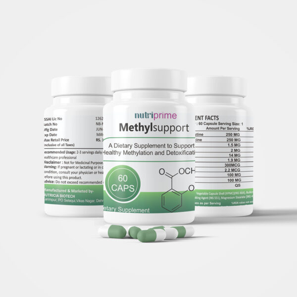 MethylSupport - Image 4