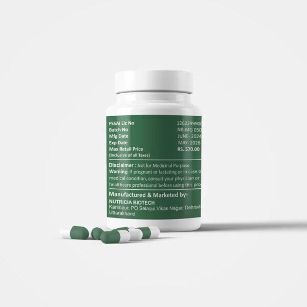 Moringa Oleifera - Image 3
