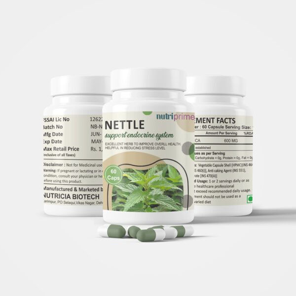 Nettle - Image 4