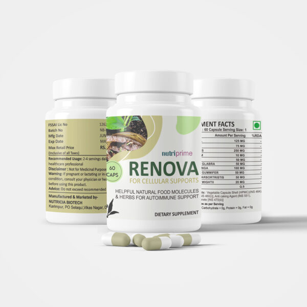 RENOVA - Image 4